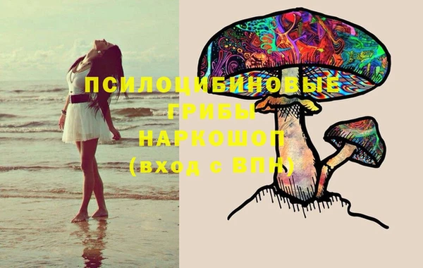 соль курить ск Кукмор